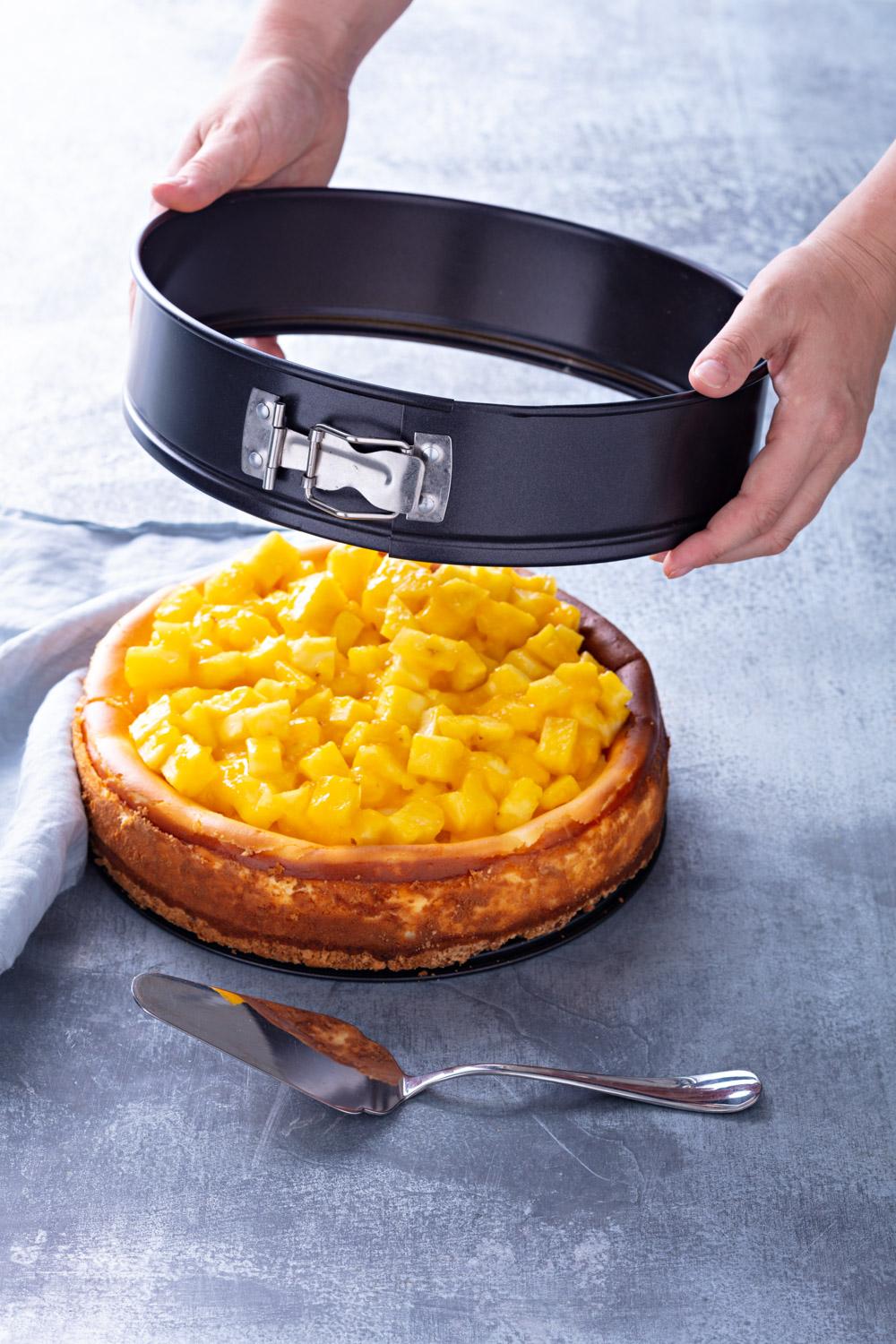 Форма PYREX DAILY мет.форма кругл  роз. чаша 25см (3.1л) (DM26BS6/3646)