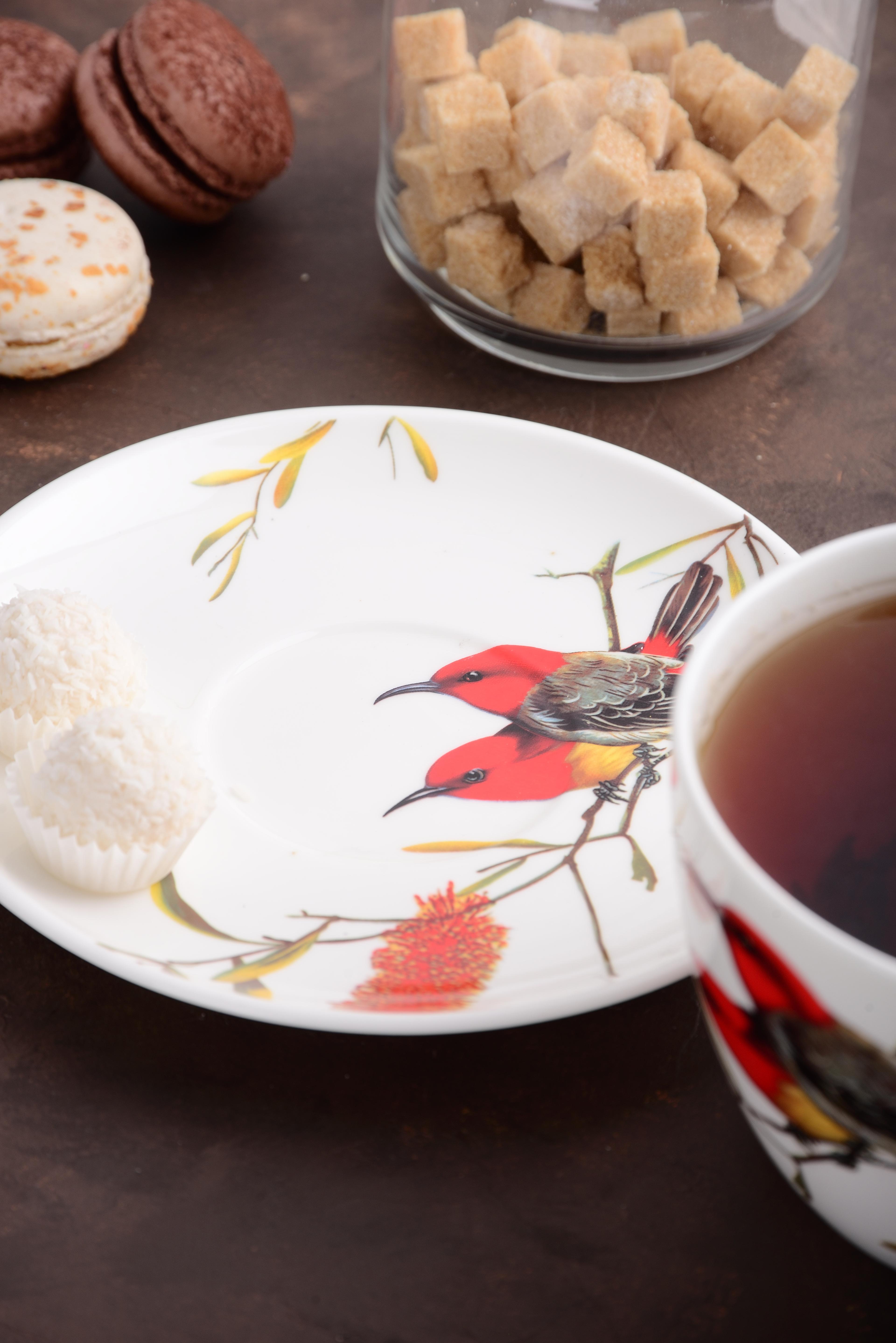 Чашка Limited Edition BIRD /НАБІР/1х550 мл з блюдцем 17.8 см / в подар. уп. (YF6009)