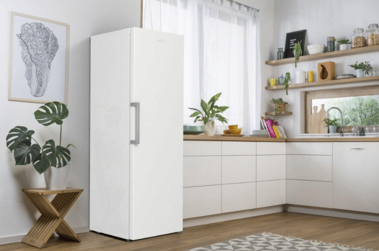 Морозильна камера GORENJE FN 619 EEW5