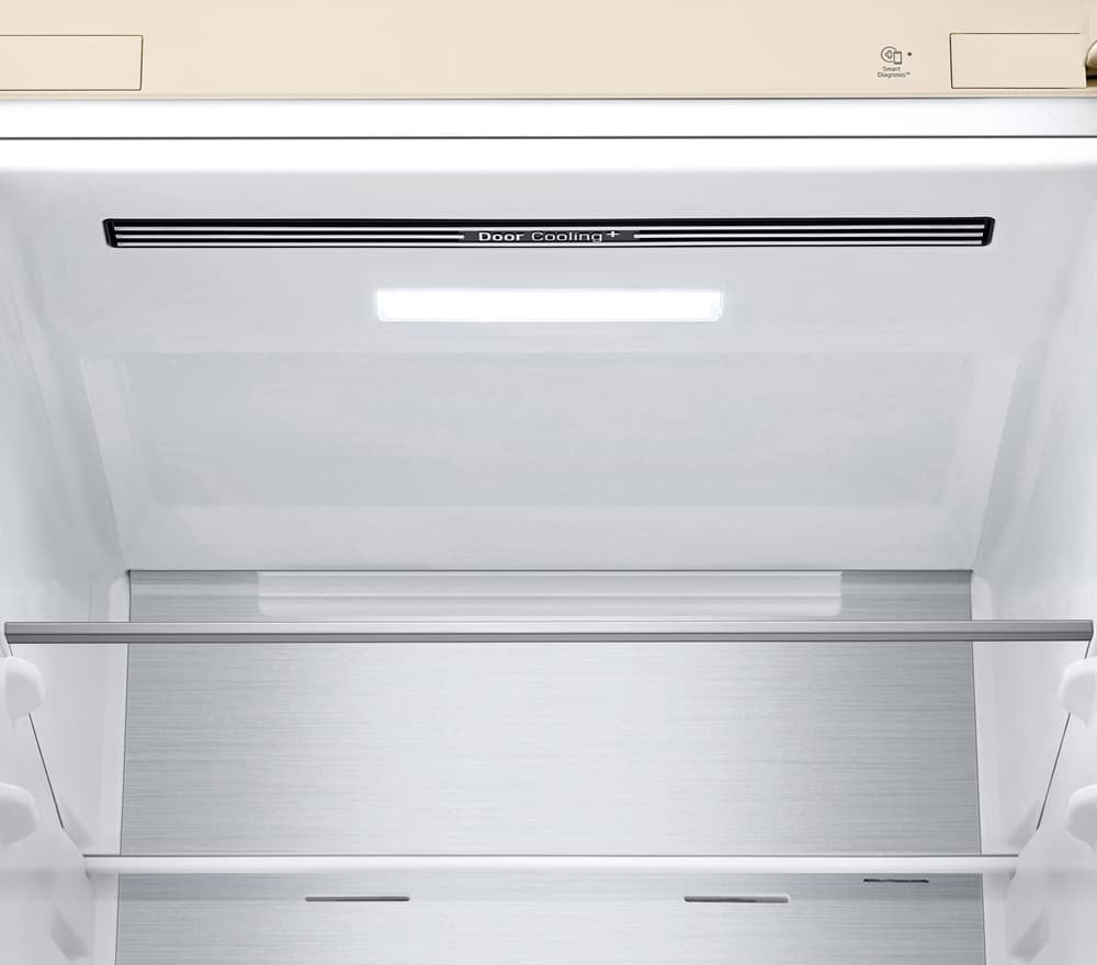Холодильник LG GC-B509FEPW