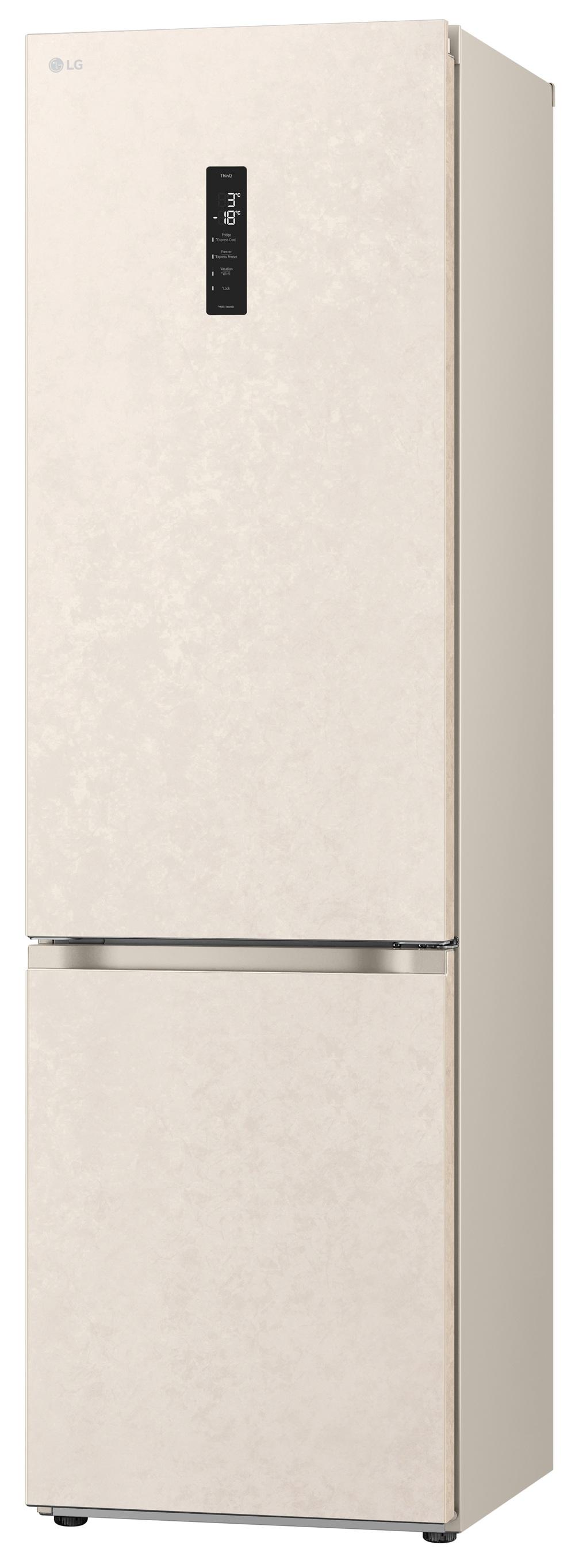 Холодильник LG GC-B509FEPW