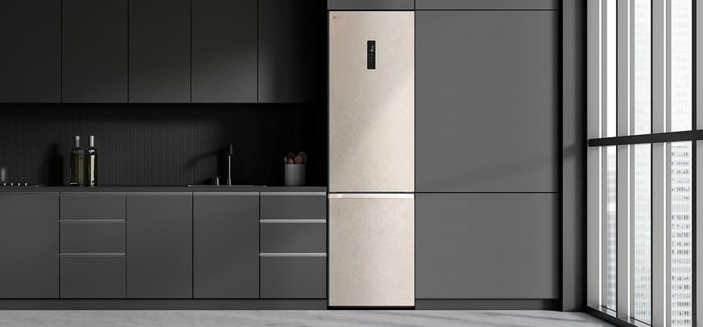 Холодильник LG GC-B509FEPW