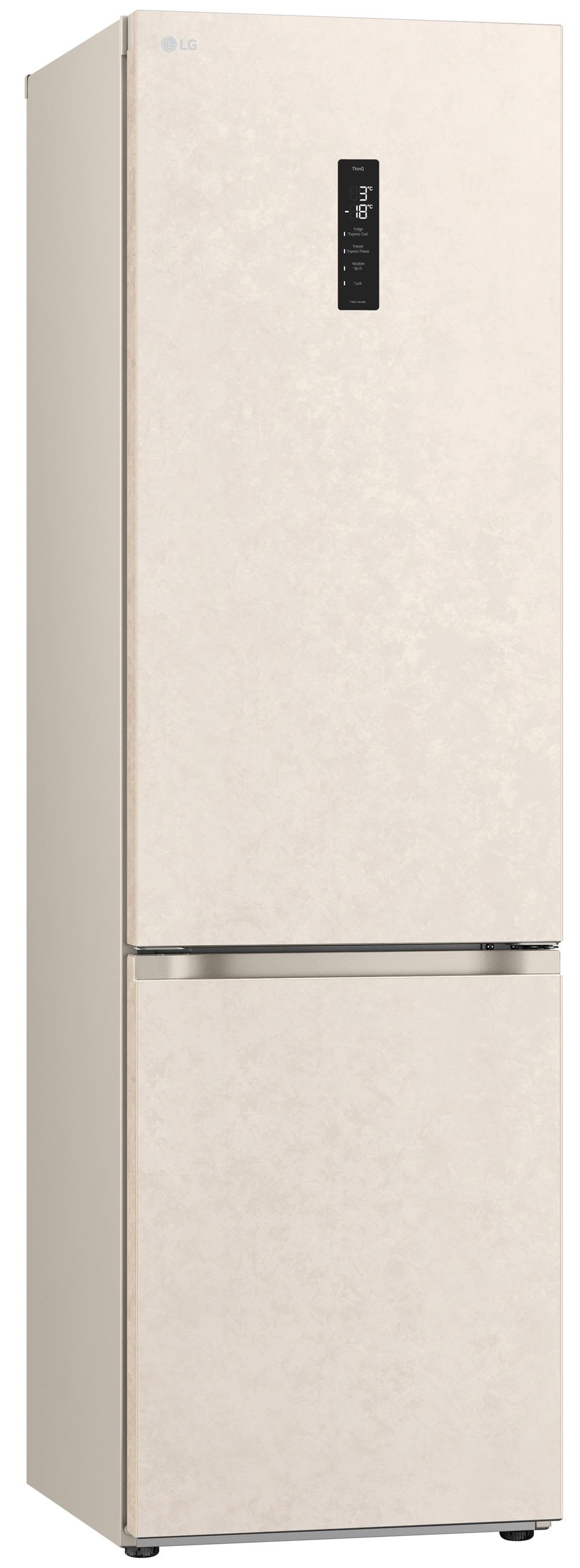Холодильник LG GC-B509FEMW
