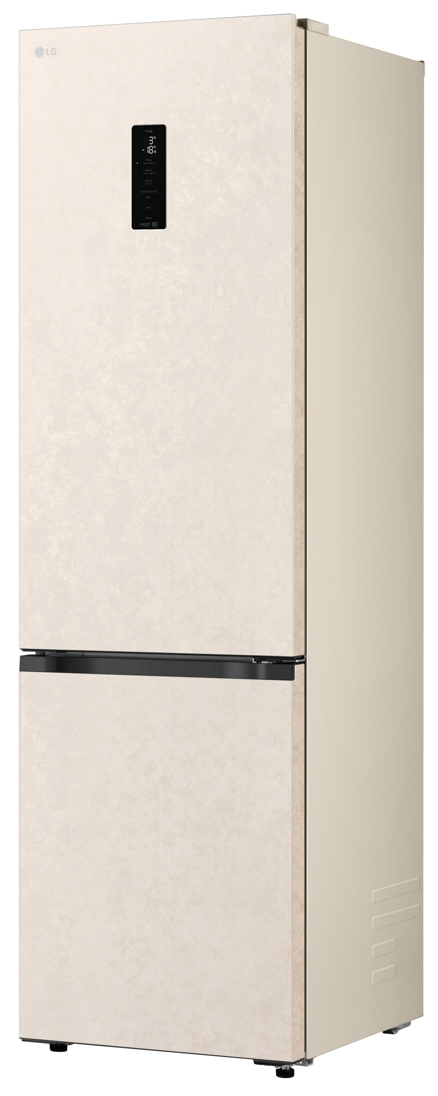 Холодильник LG GC-B509EETM