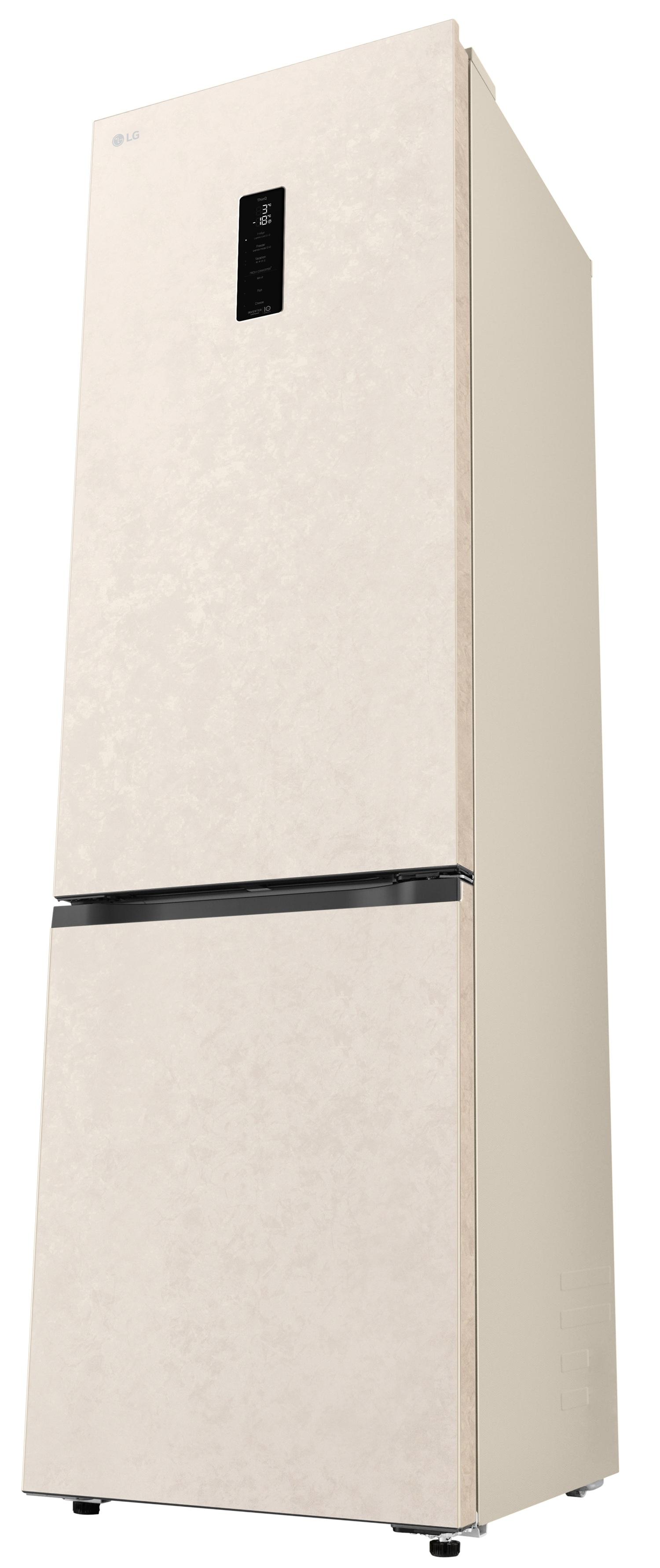 Холодильник LG GC-B509EETM