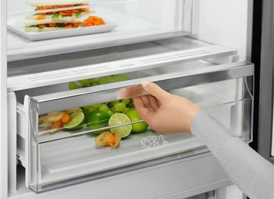 Холодильник ELECTROLUX LNT7ME36K2