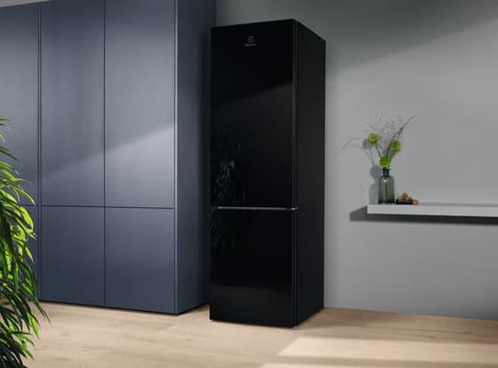 Холодильник ELECTROLUX LNT7ME36K2