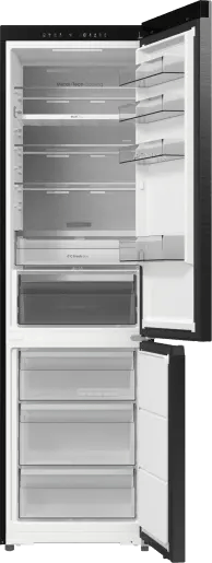 Холодильник HISENSE RB5P410SBFC (HZF4168AFD)